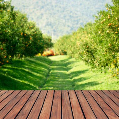 Best Farm-to-Table Restaurants in Denver