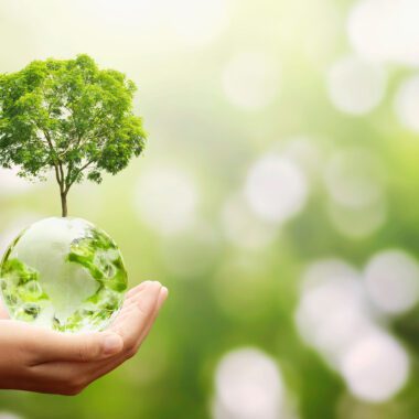 Shopping Sustainably in Denver