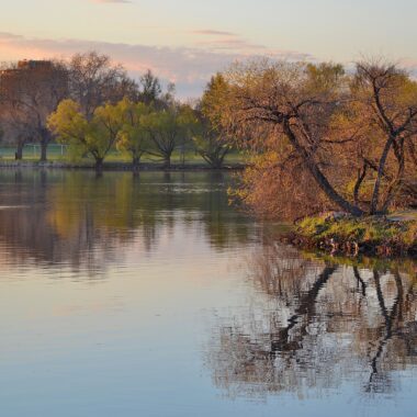Denvers Sloan Lake Neighborhood