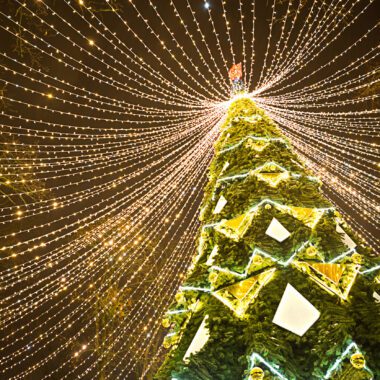 Where to See Holiday Lights in Denver